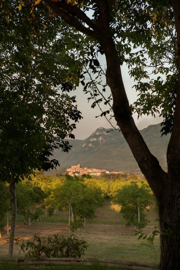 Il Refolo Bed & Breakfast Riardo Bagian luar foto