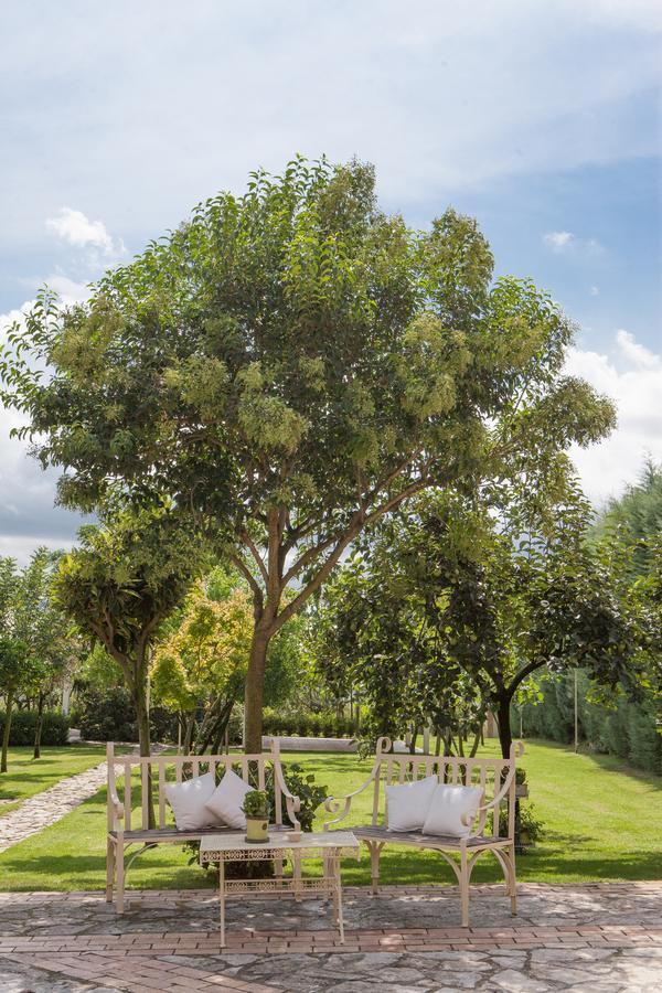 Il Refolo Bed & Breakfast Riardo Bagian luar foto